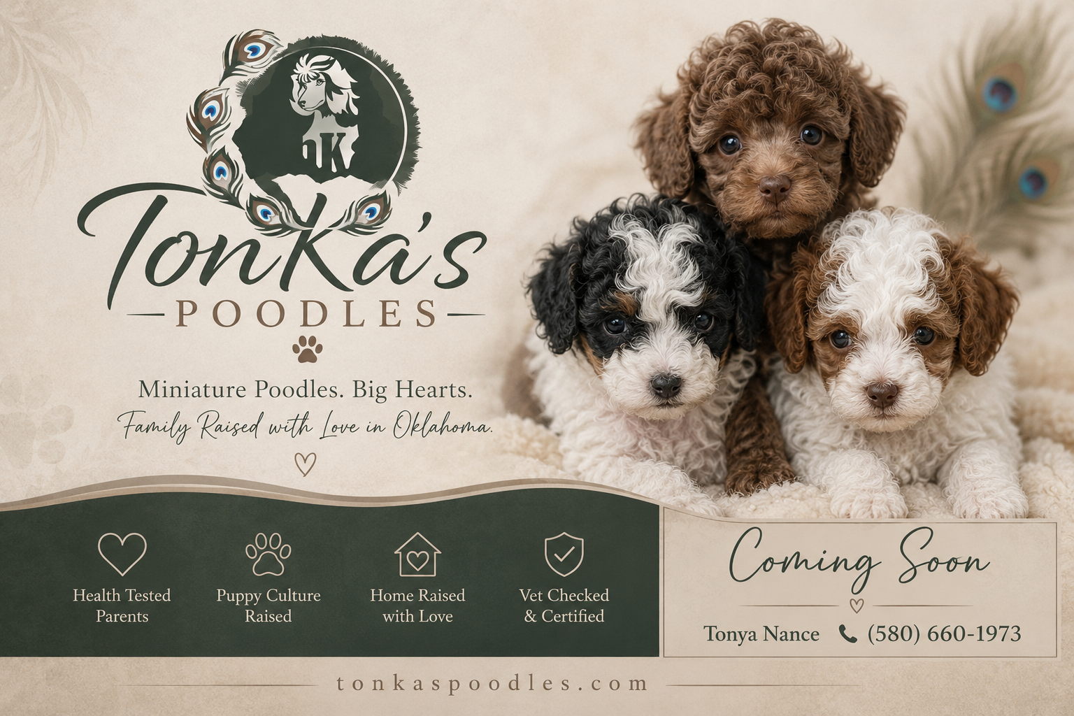 TonKa's Poodles - Oklahoma Poodle Breeder - Website Coming Soon